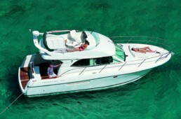 Prestige 36