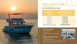 du thuyen cho thue halong - velasco 43F - Vietyacht Plus