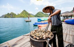 Vietyacht Plus - tour du thuyen Ha Long rieng tu - an tran be noi