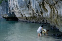 Vietyacht Plus - tour du thuyen Ha Long rieng tu - bat oc