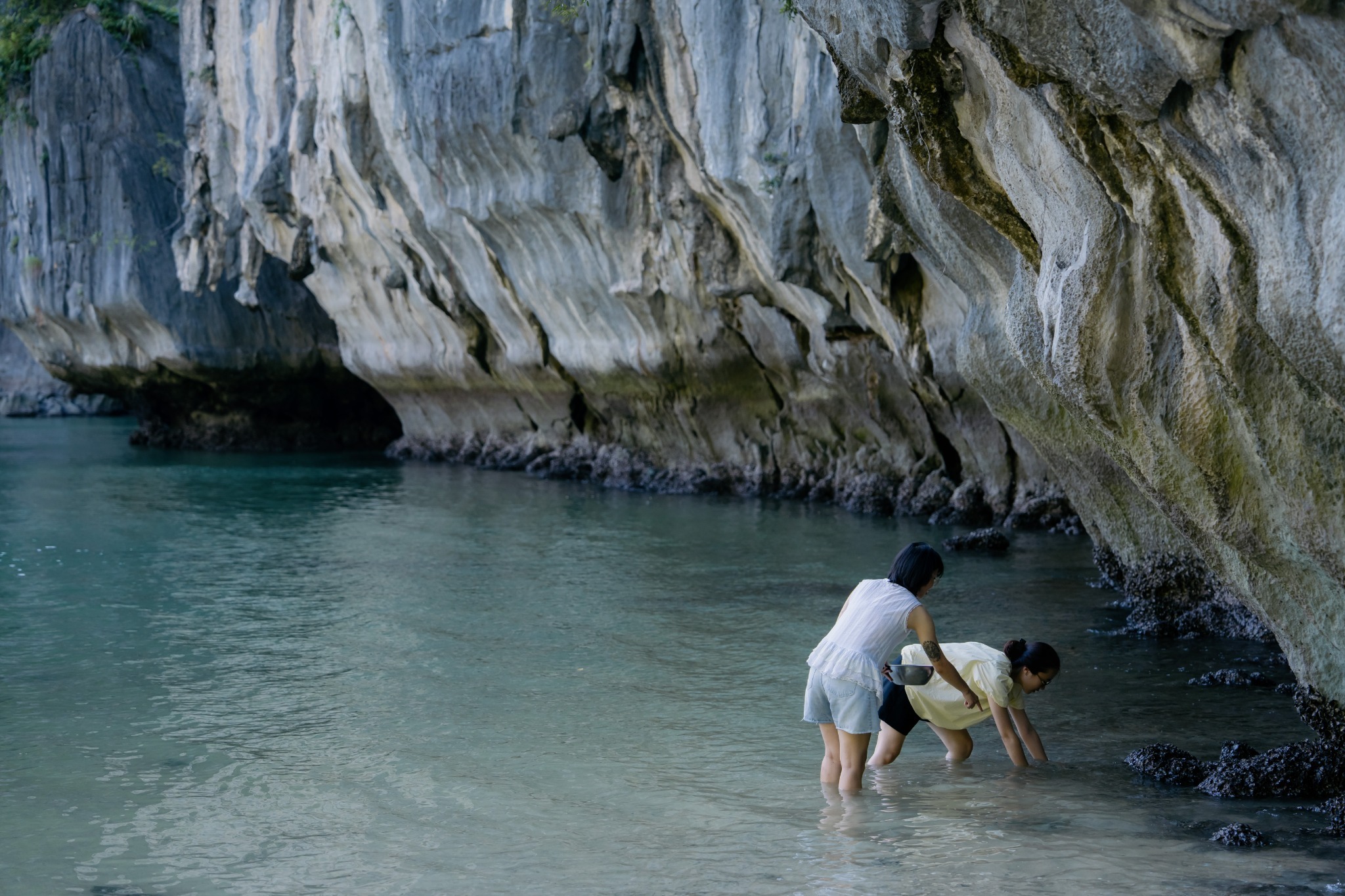 Vietyacht Plus - tour du thuyen Ha Long rieng tu - bat oc